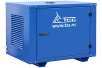 Бензогенератор TSS SGG 6000EH3NA